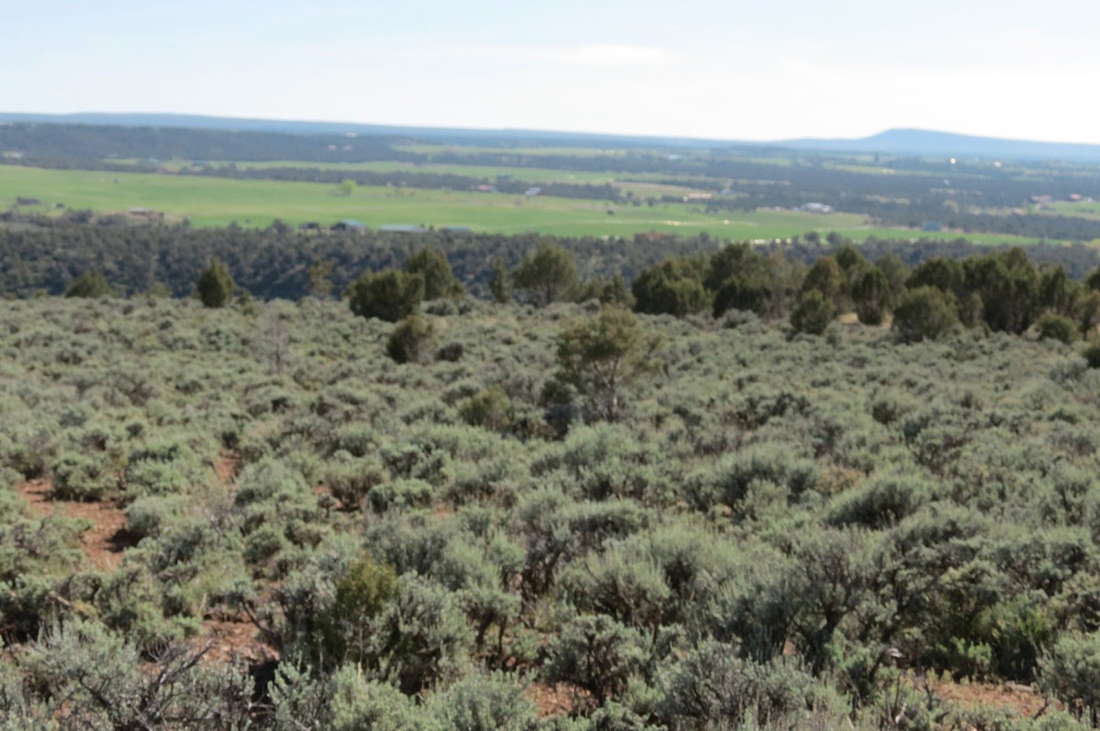 fruitland view