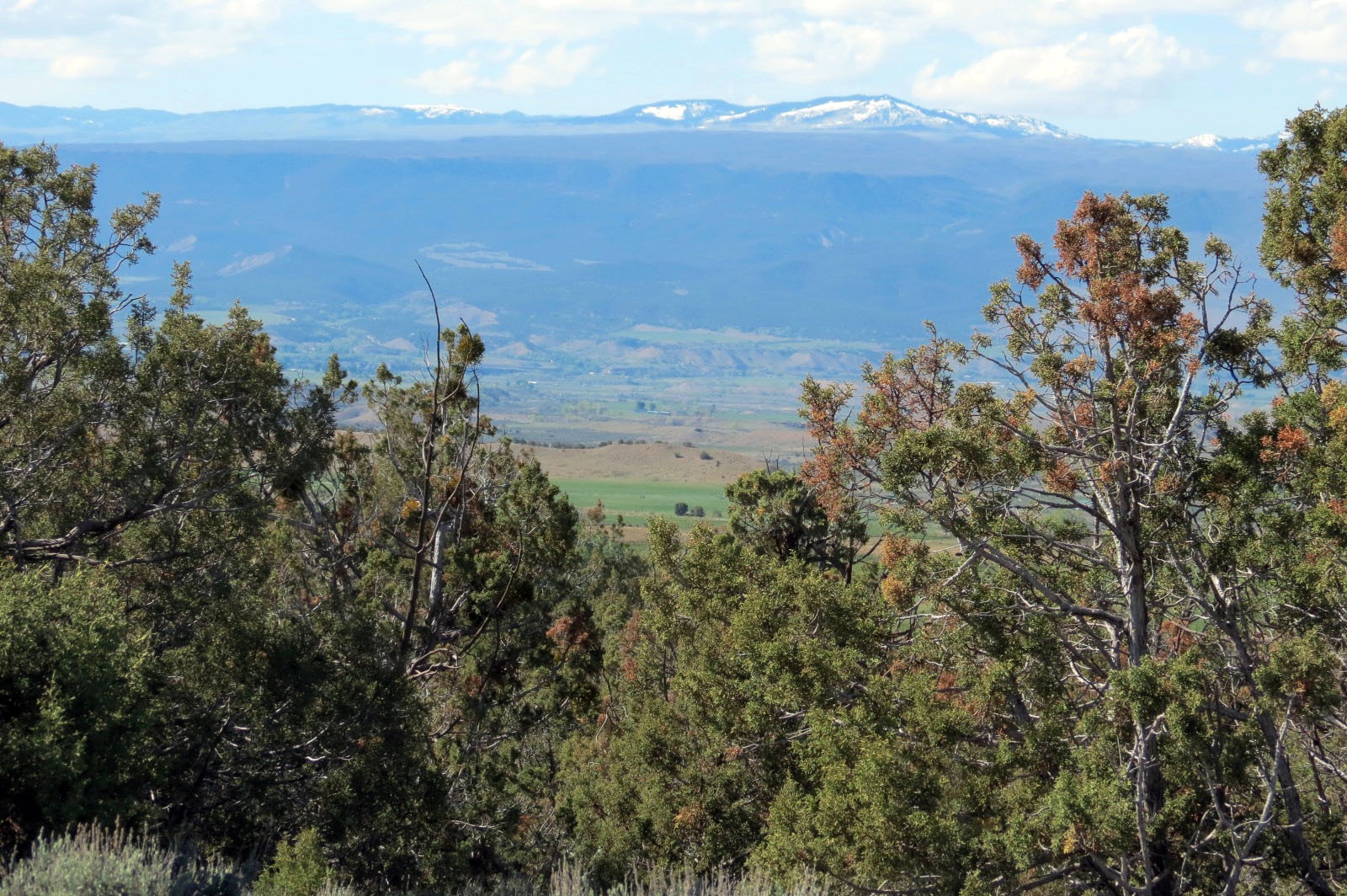 grand mesa view