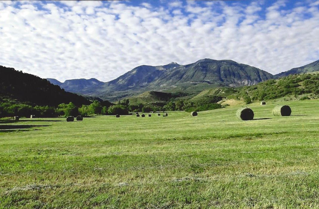 hay bales