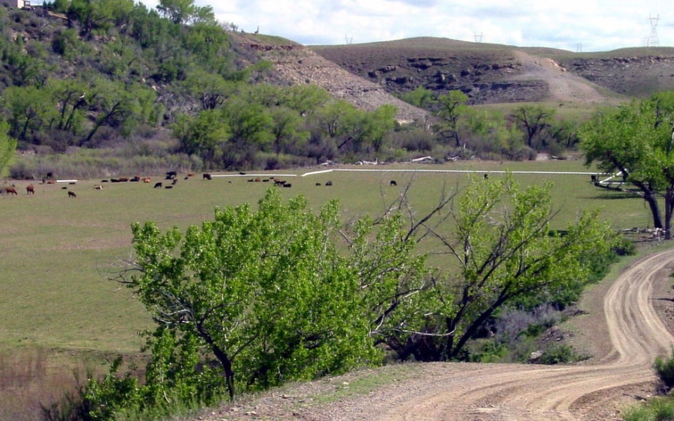 roubideau creek