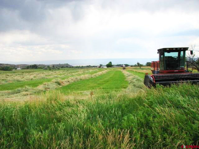 hay field