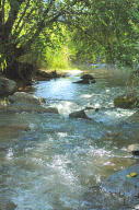 rushing water of the creek