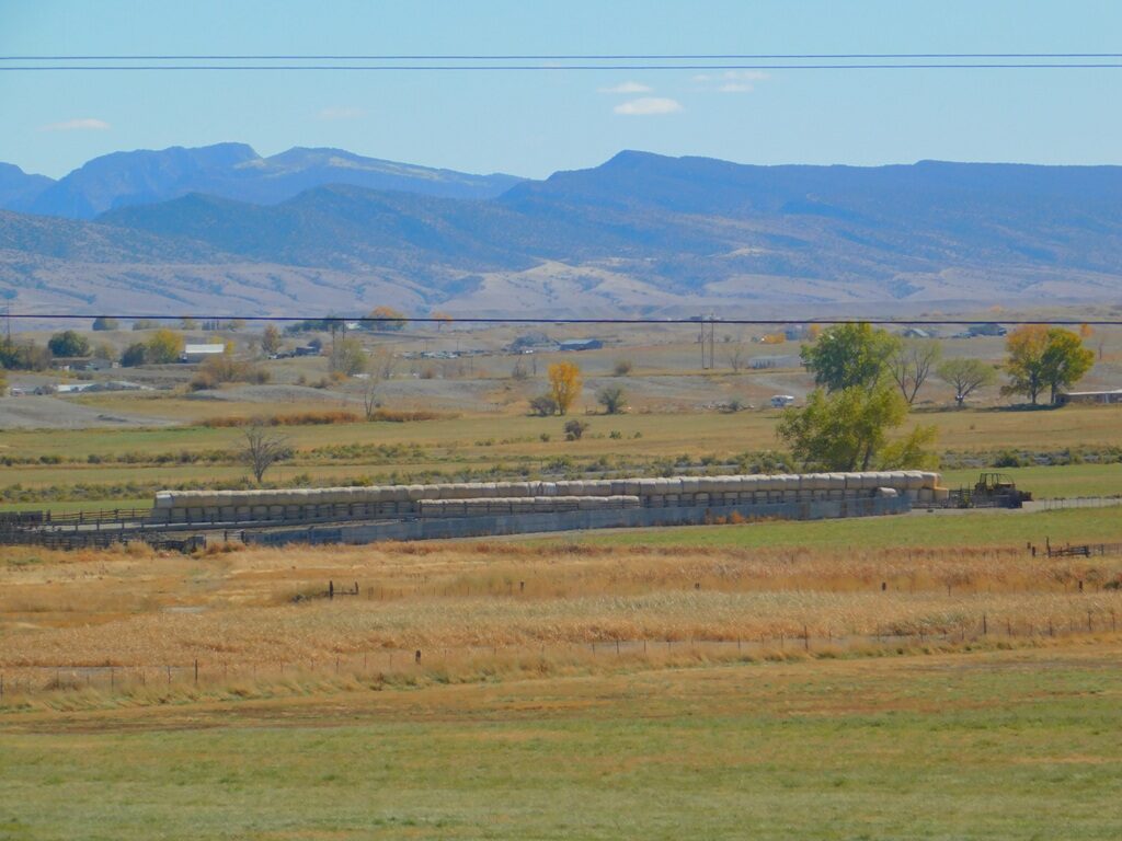 DSCN0144