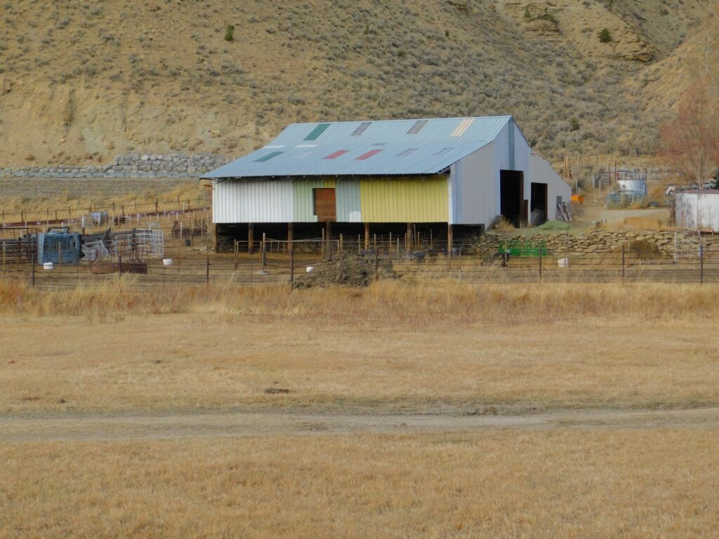 DSCN0307