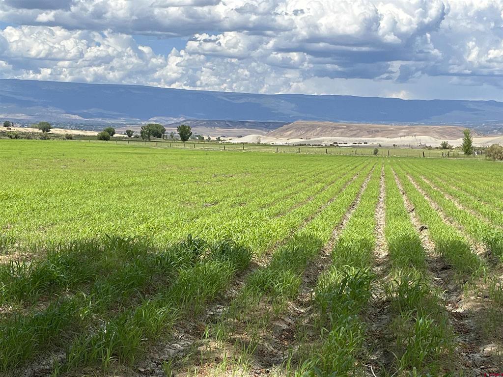 811690-0e154ccb-3892-4906-9d0a-8c2e124eb05e